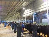 第168回南九州肥育牛共進会